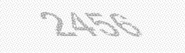 Visual security code — type the characters shown in the image