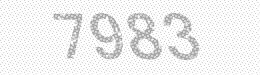 Visual security code — type the characters shown in the image